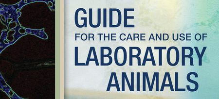 Guide