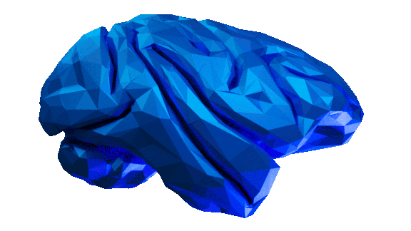 _images/NMT_DecimatedBlue.gif